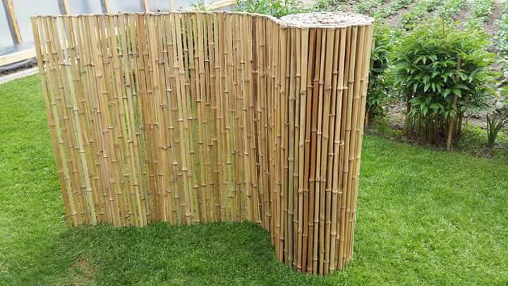 Bamboo fences